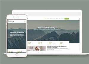 简约业务服务动态响应式网页模板 - 项目资源网