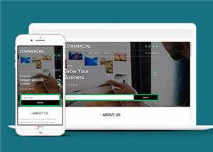 简洁商业贸易服务展示HTML网页模板下载 - 项目资源网