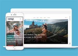 多用途的图文展示博客模板 - 项目资源网