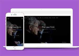 美国律师事务所企业网站模板源码 - 项目资源网
