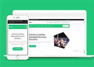 互联网增值服务公司网站模板下载 - 项目资源网