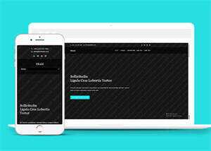 旅游景点展示类网站模板下载 - 项目资源网