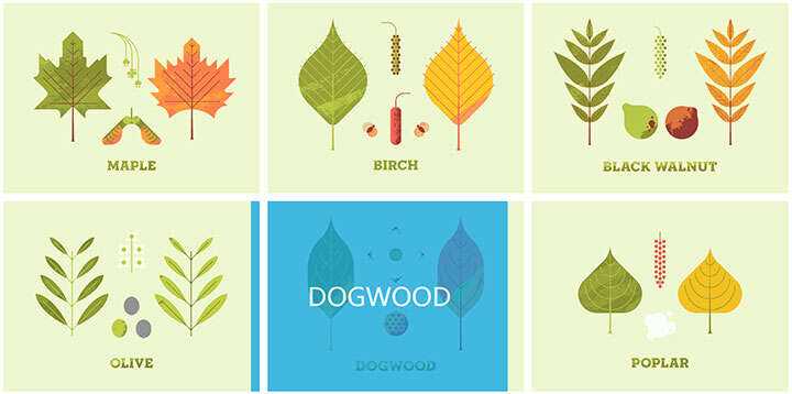 jQuery列表图片鼠标悬停感知方向遮罩层移动特效 - 项目资源网