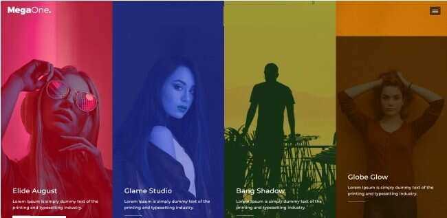 演唱会嘉宾宣传介绍网页模板 - 项目资源网