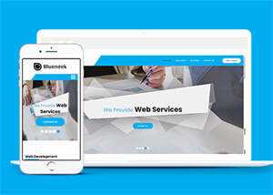 移动应用开发公司网站模板下载 - 项目资源网