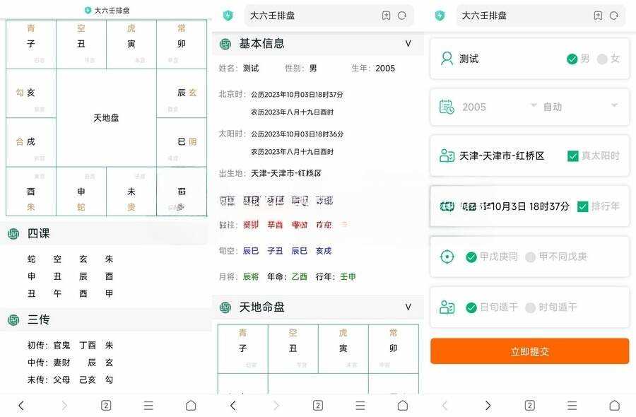开源无马可二开八字排盘源码 - 项目资源网