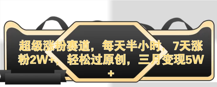 超级涨粉赛道，每天半小时，7天涨粉2W+，轻松过原创，三月变现5W+ - 项目资源网