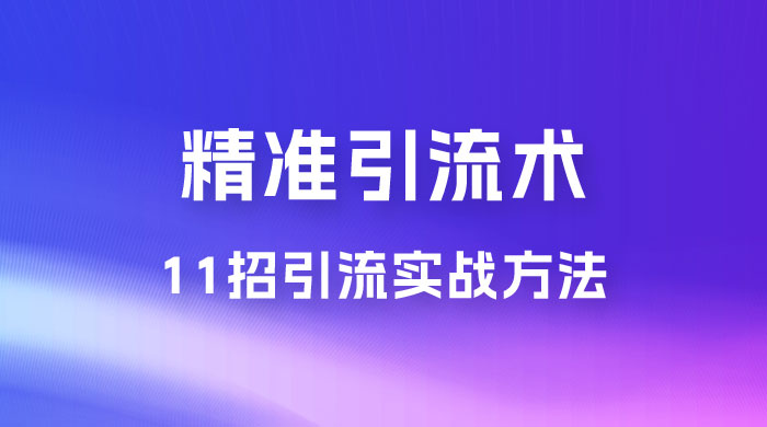 精准引流术：11 招引流实战方法，让你私域流量加到爆（共 11 课） - 项目资源网
