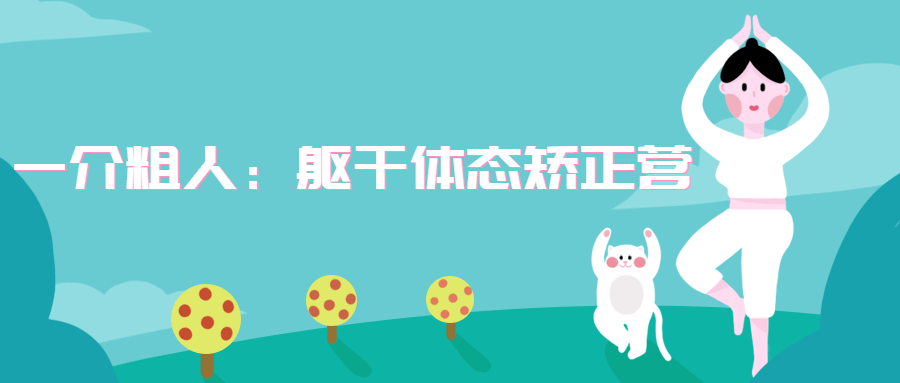 一介粗人：躯干体态矫正营 - 项目资源网