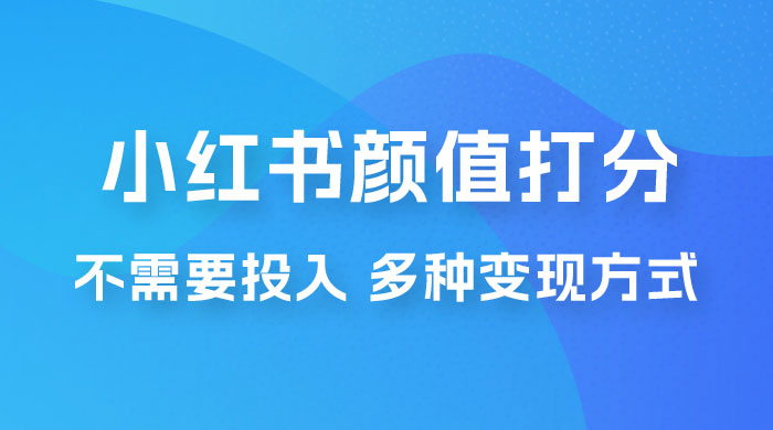 小红书颜值打分新玩法，不需要投入，适合所有人的一份副业，多种变现方式！ - 项目资源网