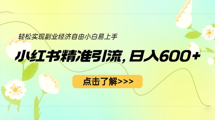 小红书精准引流：轻松实现副业经济自由（教程 + 1153G 资源） - 项目资源网