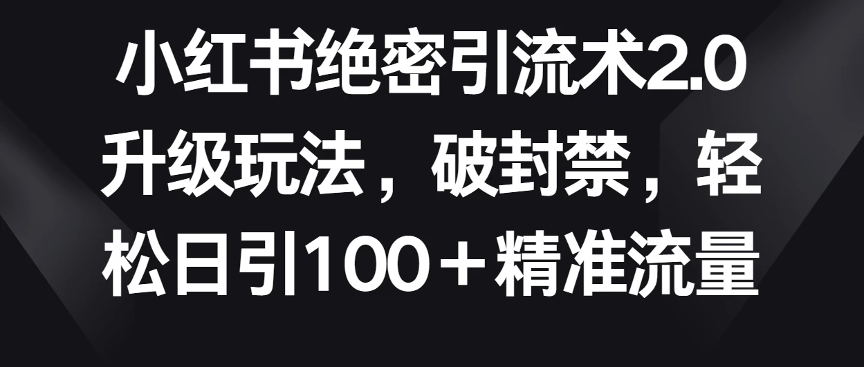 小红书绝密引流术2.0升级玩法，破封禁，轻松日引100＋精准流量 - 项目资源网