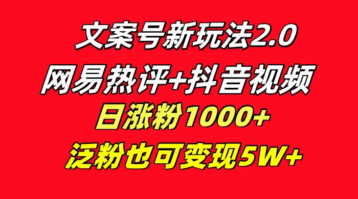 文案号新玩法，网易热评+抖音文案 一周轻松涨粉 5W+ 多种变现模式 - 项目资源网