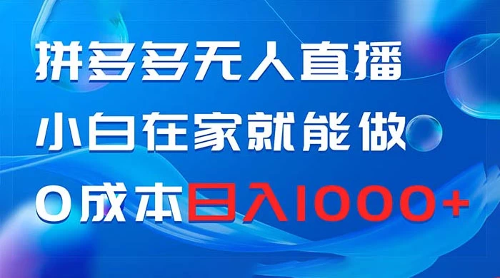 拼多多无人直播，小白在家就能做，0 成本日入 1000+ - 项目资源网