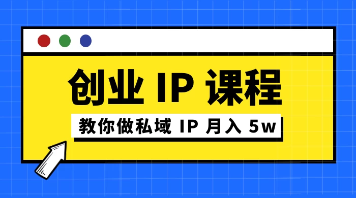 价值 2980 创业 IP 课程，教你做私域 IP 月入 5w - 项目资源网